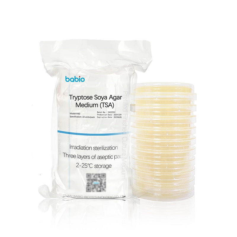 Tryptose Soja Agar Medium (TSA)